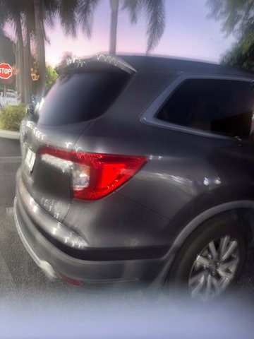 Used 2019 Honda Pilot EX-L image 7
