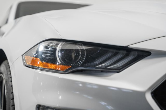 Used 2019 Ford Mustang GT image 14