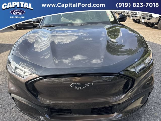 Used 2021 Ford Mustang Mach-E Premium RWD image 10