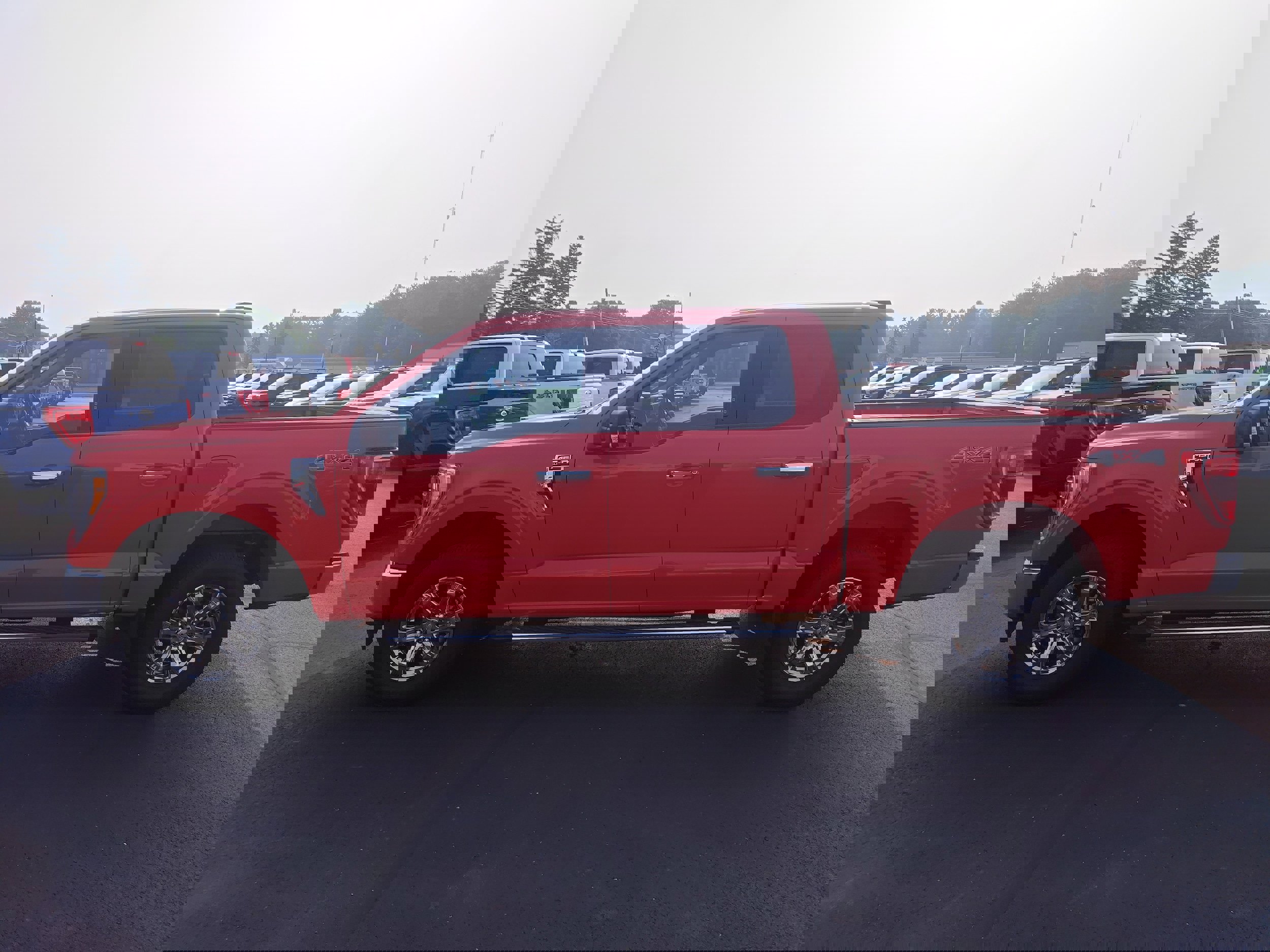 Used 2023 Ford F150 XLT w/ Equipment Group 302A High