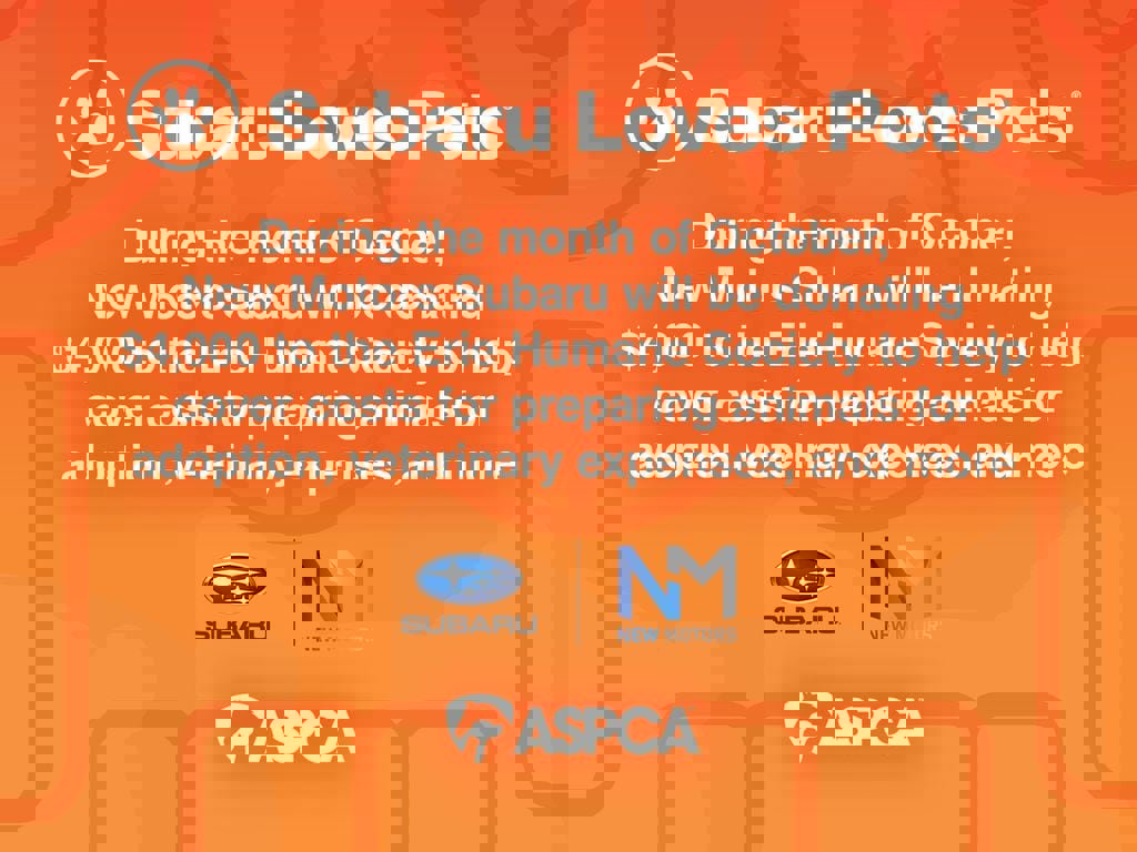 New 2025 Subaru BRZ tS image 4