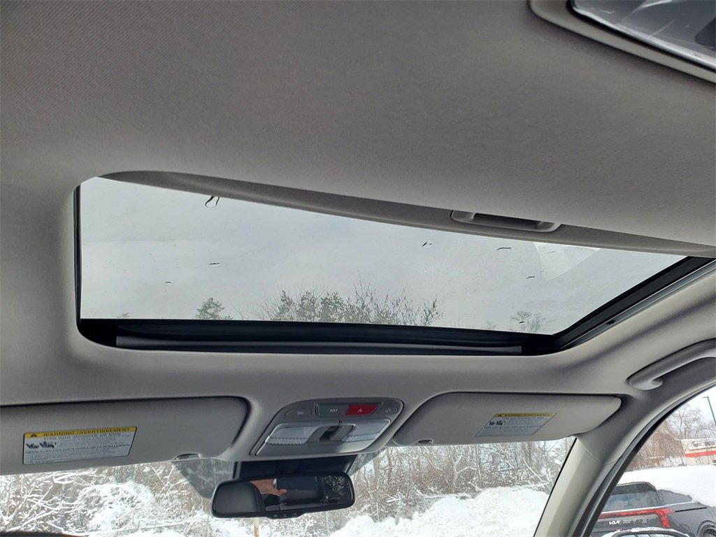 New 2025 Kia Telluride EX image 6