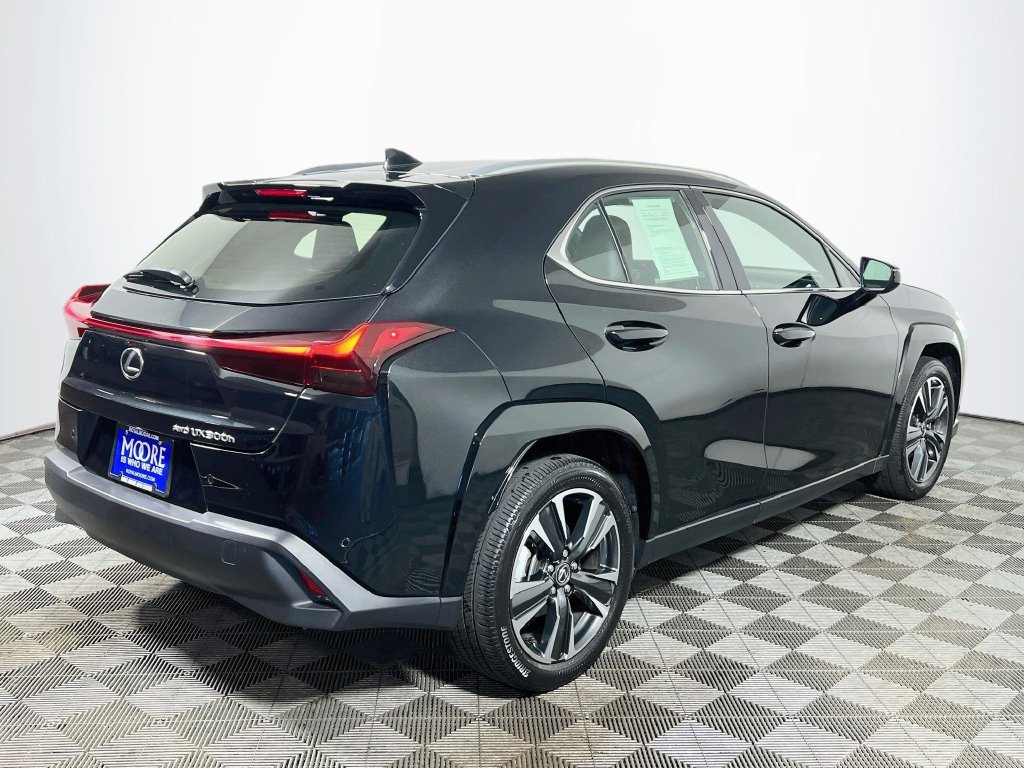 Used 2025 Lexus UX 300h AWD w/ Cold Area Package image 7