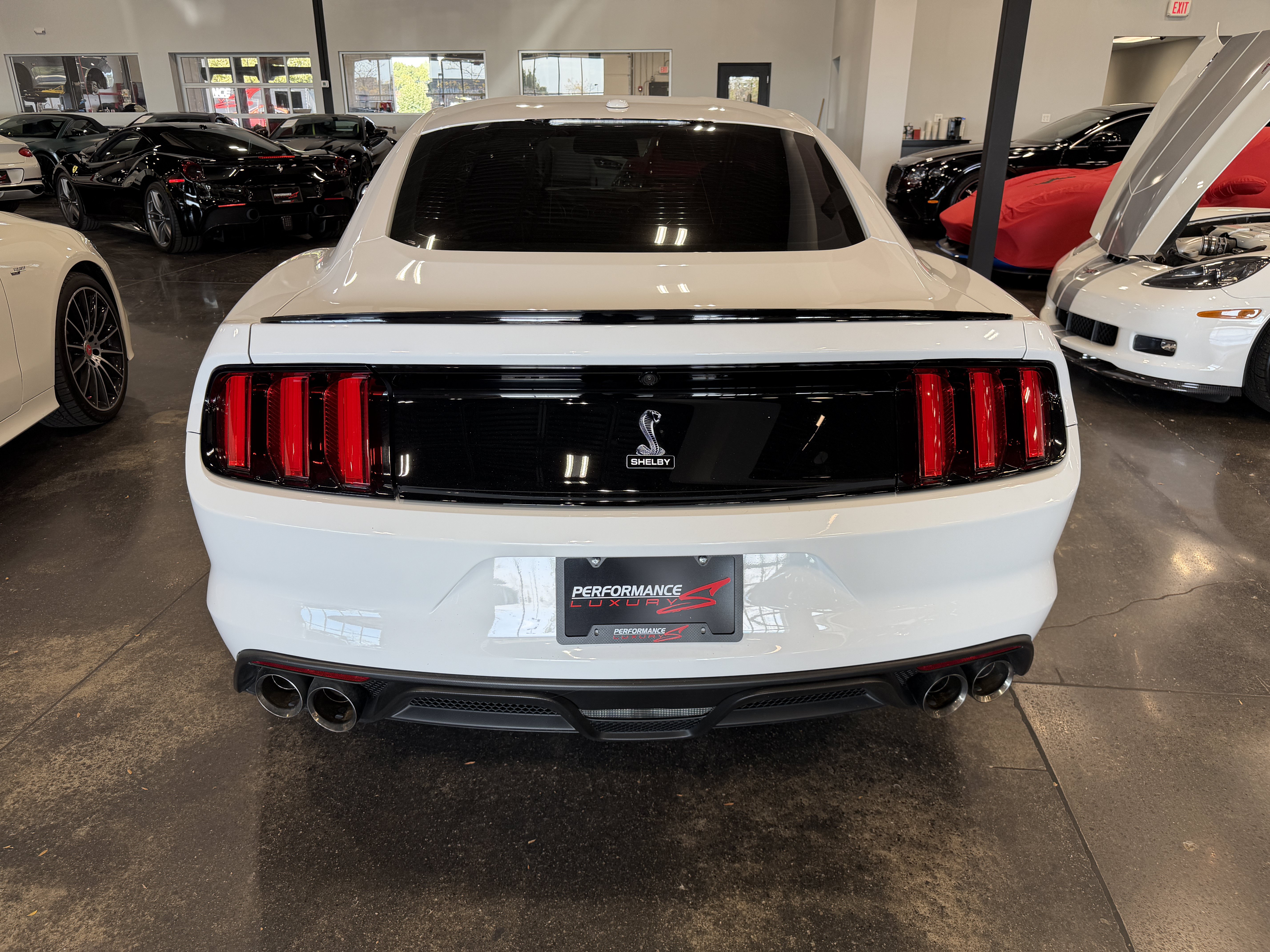 Used 2016 Ford Mustang Shelby GT350 w/ Technology Package RWD image 5