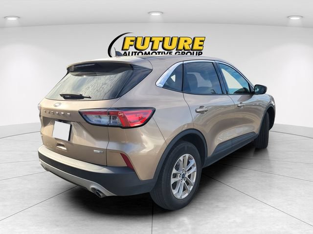 Used 2020 Ford Escape SE AWD/4WD image 3