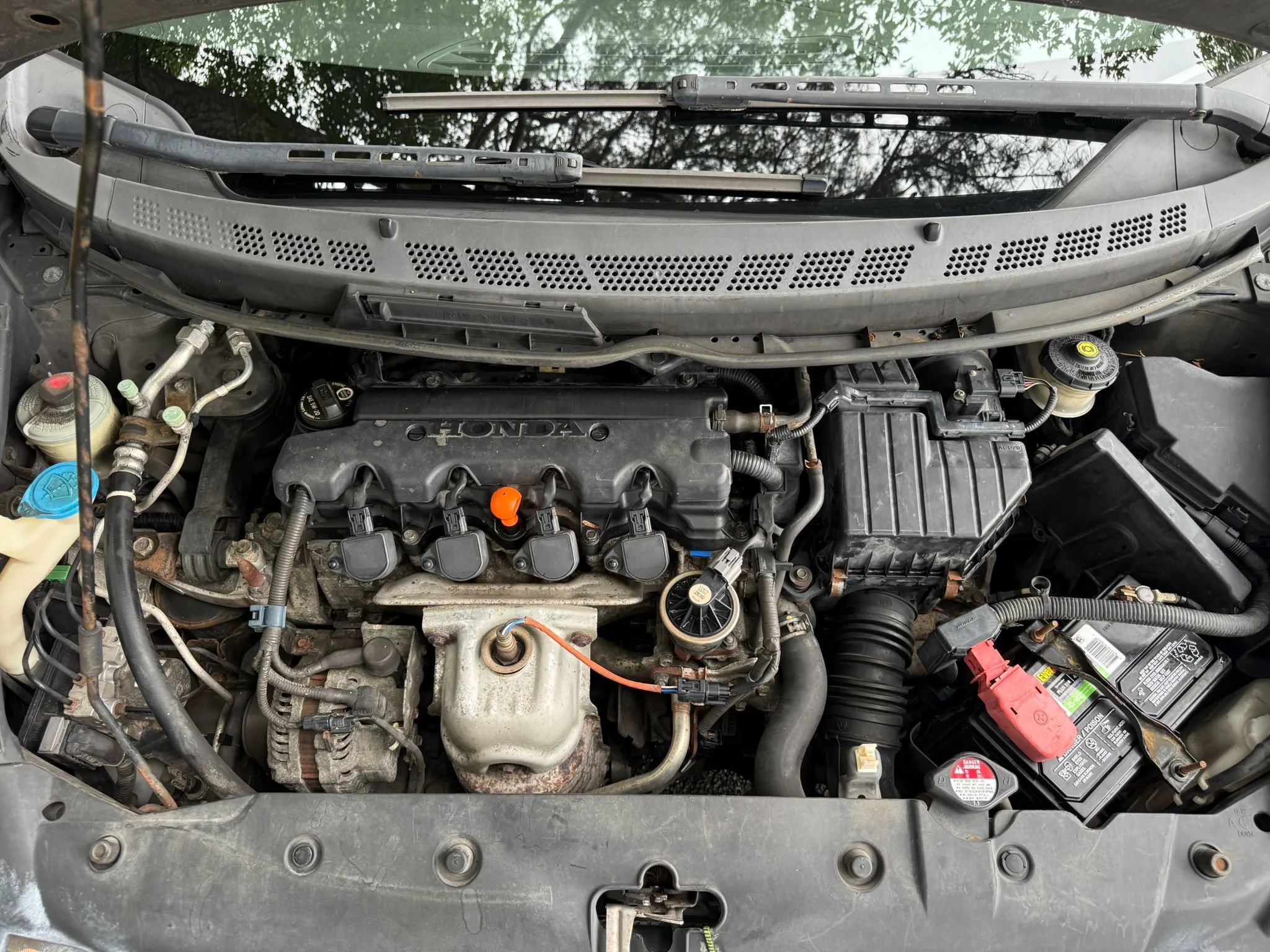 Used 2010 Honda Civic LX image 12