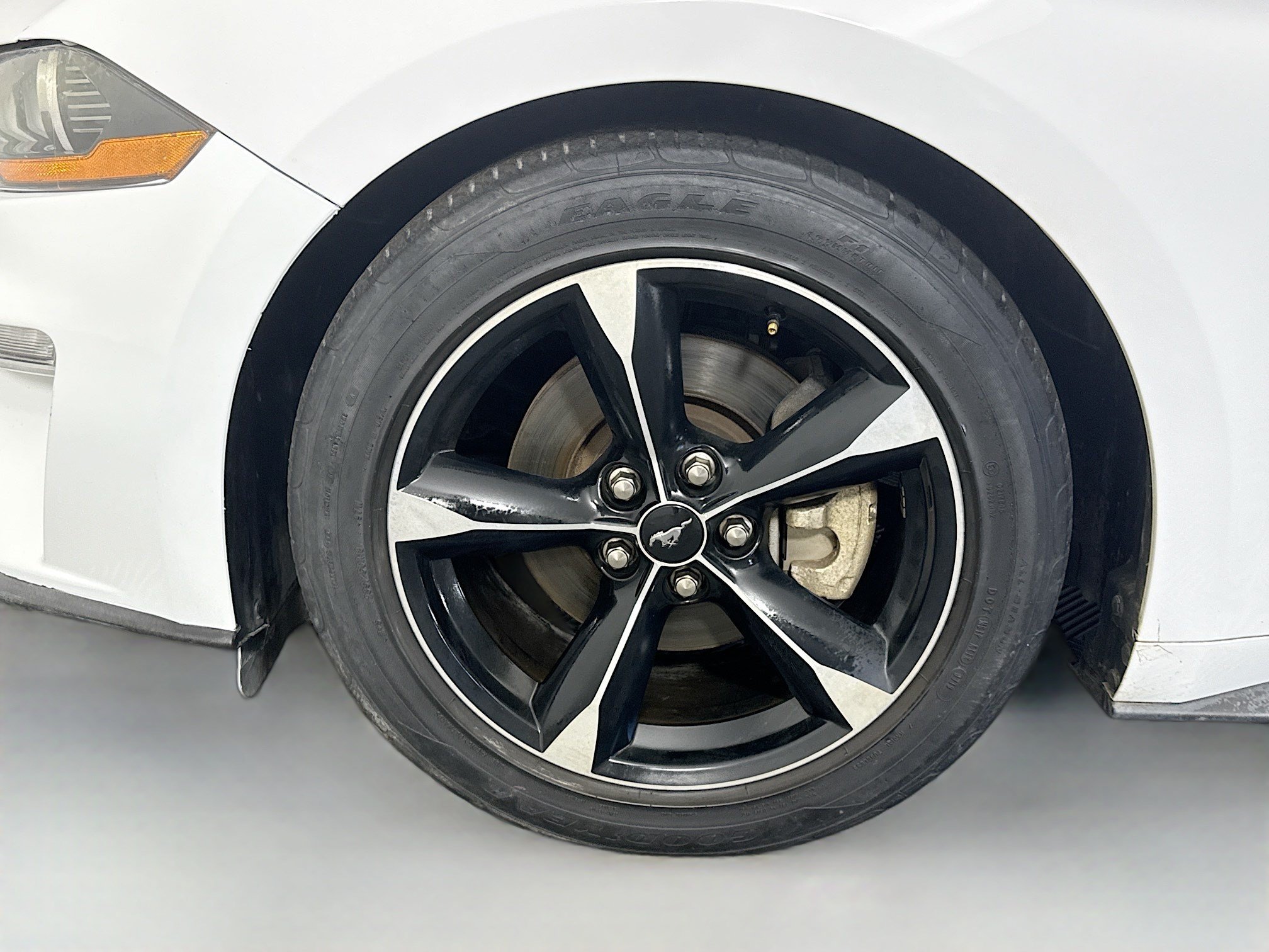 Used 2019 Ford Mustang Coupe RWD image 36