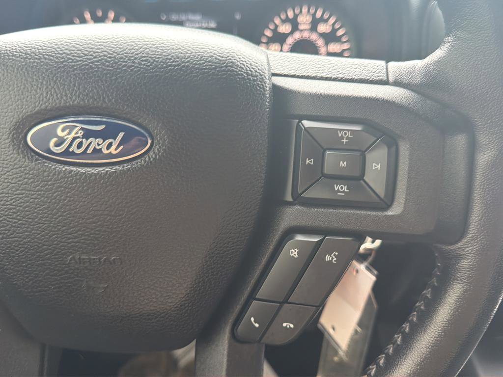 Used 2019 Ford F150 XLT w/ Equipment Group 302A Luxury AWD/4WD image 19