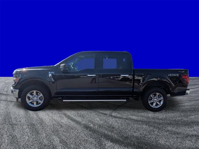 Certified 2025 Ford F150 XLT w/ Equipment Group 301A Standard AWD/4WD image 7