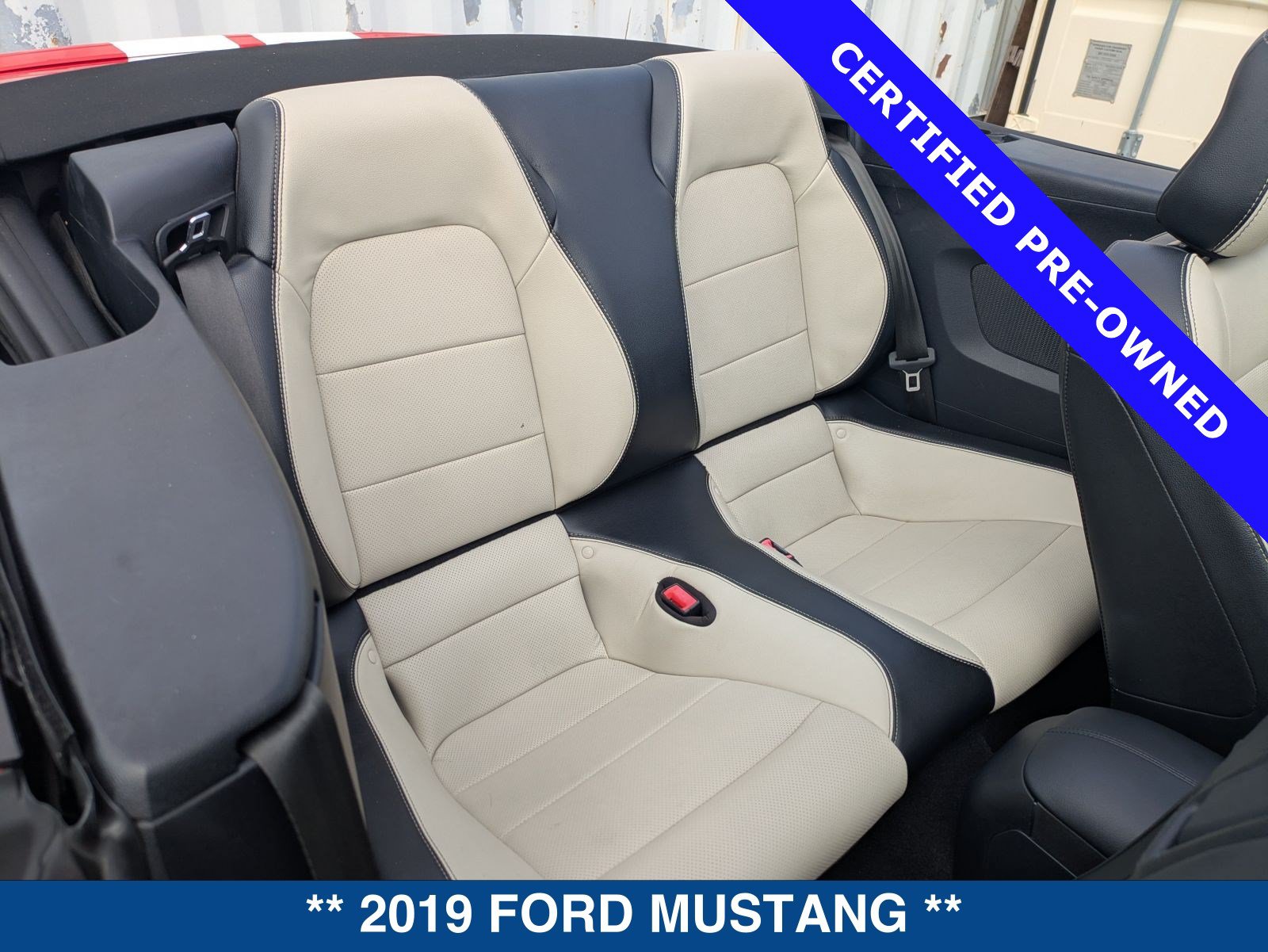Certified 2019 Ford Mustang Premium RWD image 16
