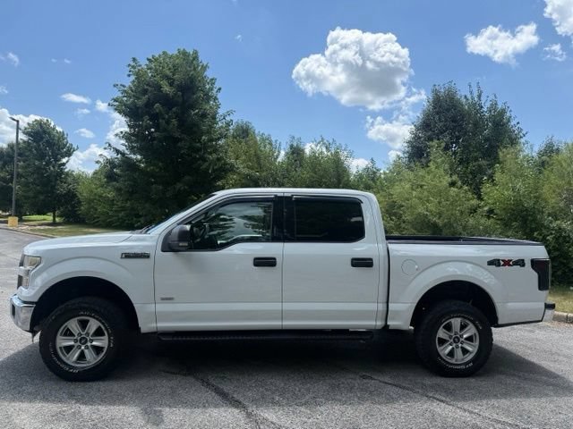 Used 2016 Ford F150 XLT w/ Equipment Group 301A Mid AWD/4WD image 6