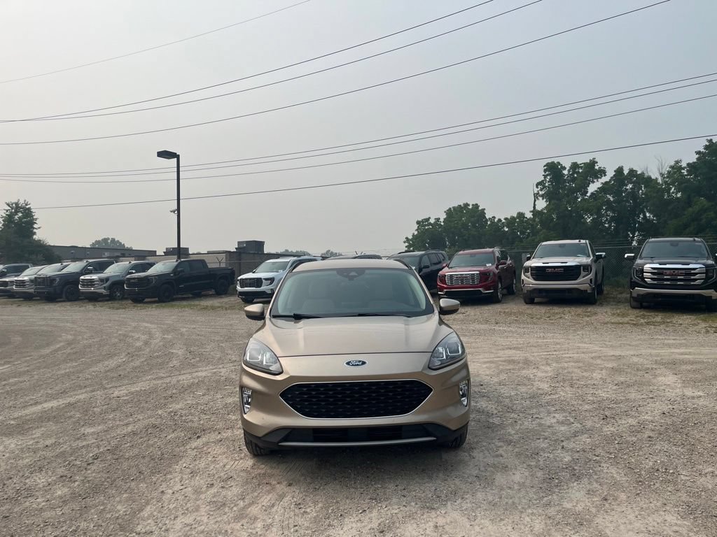 Used 2020 Ford Escape SEL AWD/4WD image 4