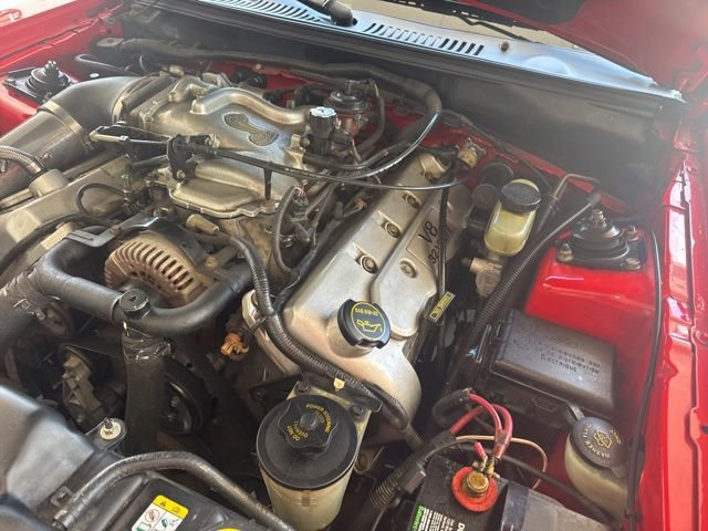 Used 2001 Ford Mustang Cobra RWD image 13