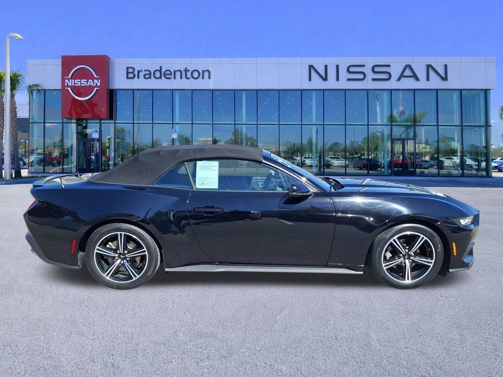 Used 2024 Ford Mustang Premium image 4