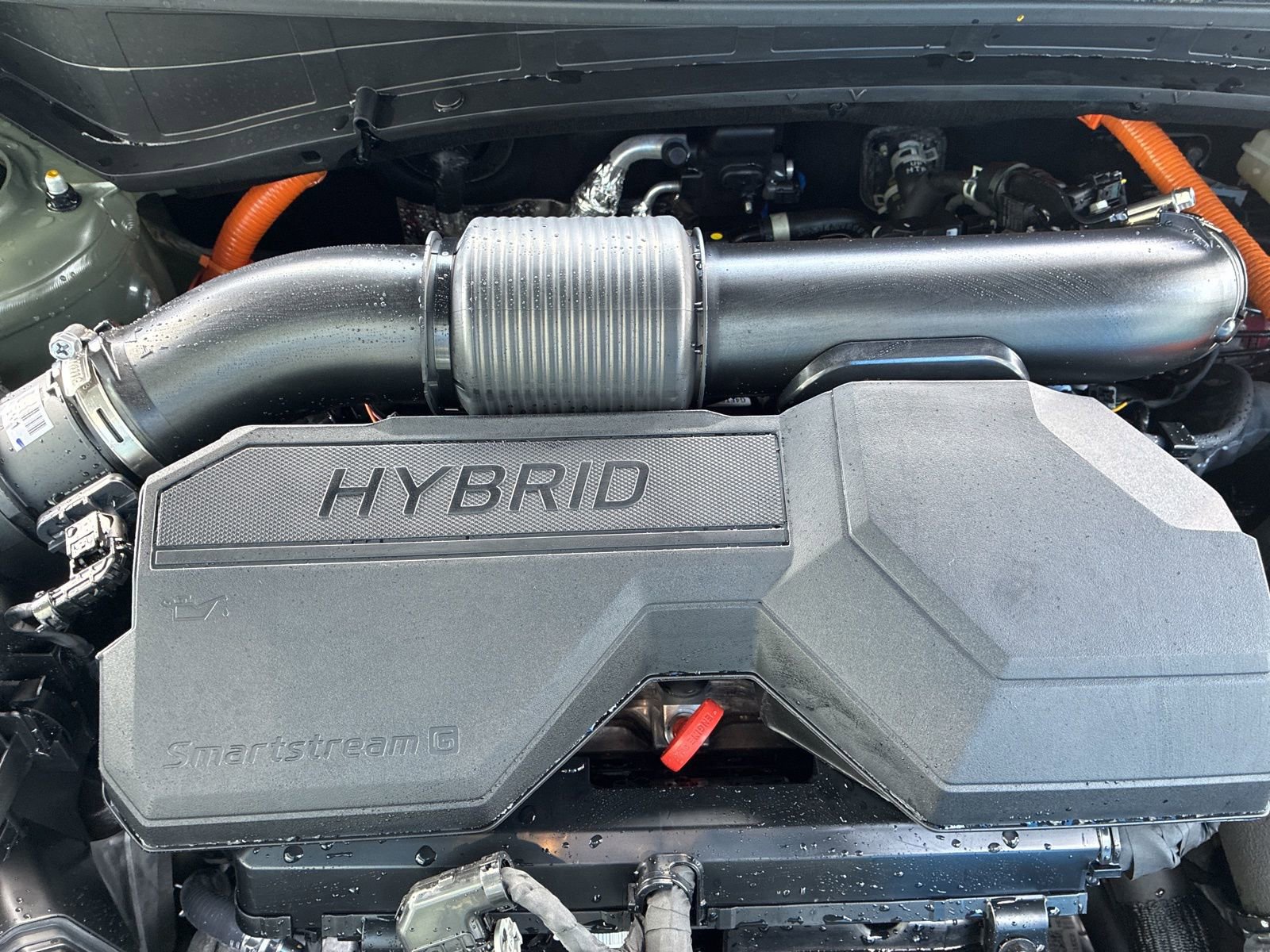 Used 2025 Kia Sportage X-Line image 25