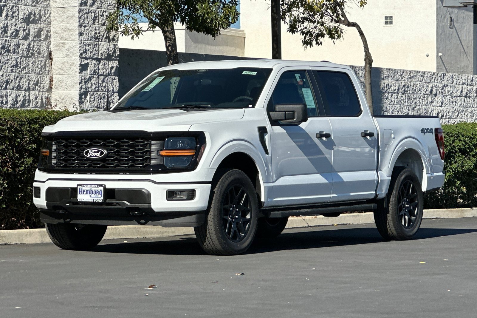 New 2025 Ford F150 STX w/ STX Black Appearance Package image 8