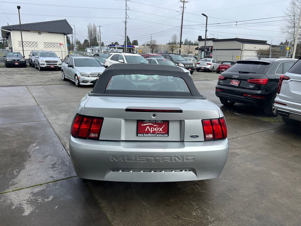 Used 2000 Ford Mustang Convertible RWD image 6