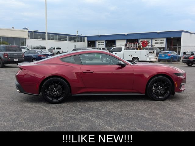 Used 2025 Ford Mustang Premium w/ Mustang Nite Pony Package RWD image 9