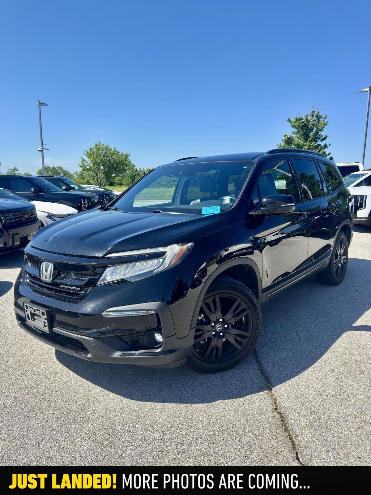 Used 2020 Honda Pilot Black Edition image 1