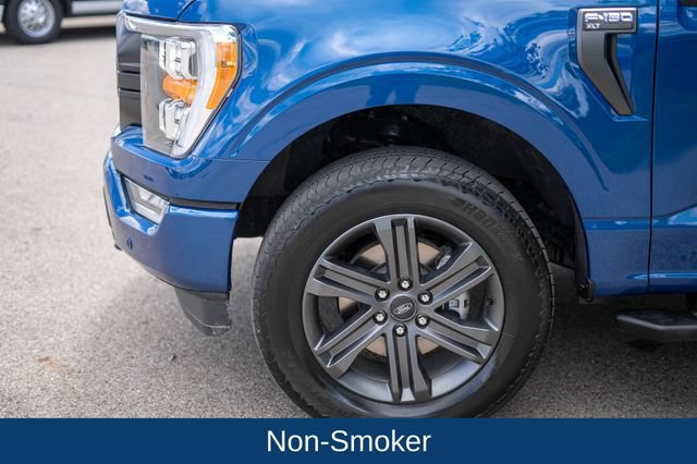 Used 2023 Ford F150 XLT w/ Equipment Group 302A High AWD/4WD image 10