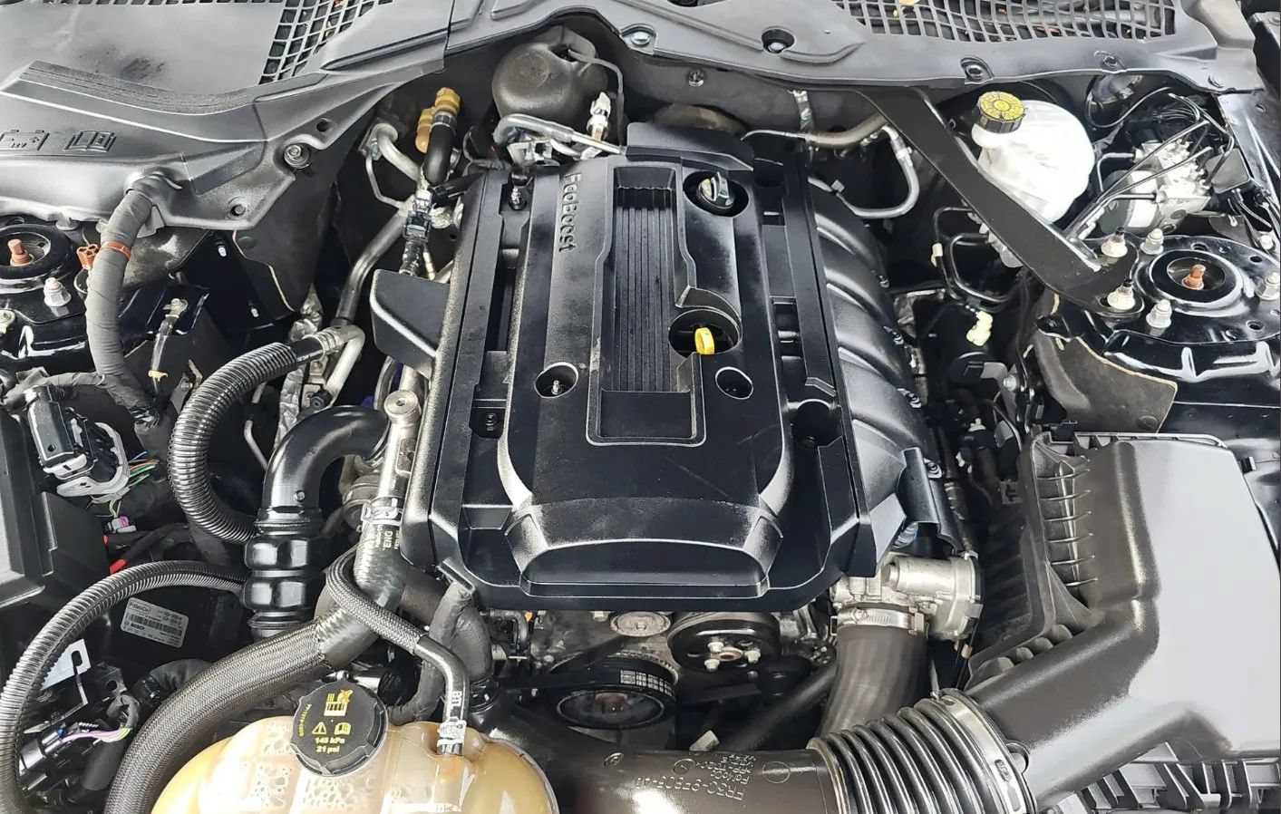 Used 2019 Ford Mustang Premium RWD image 50
