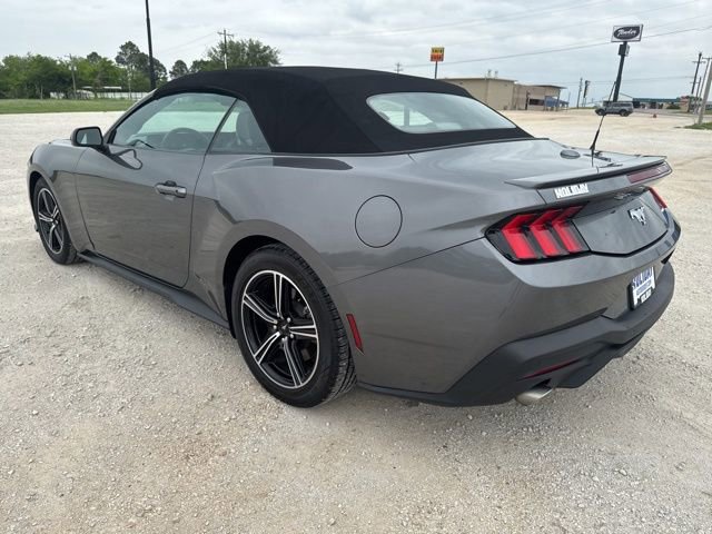 Used 2024 Ford Mustang Premium RWD image 4