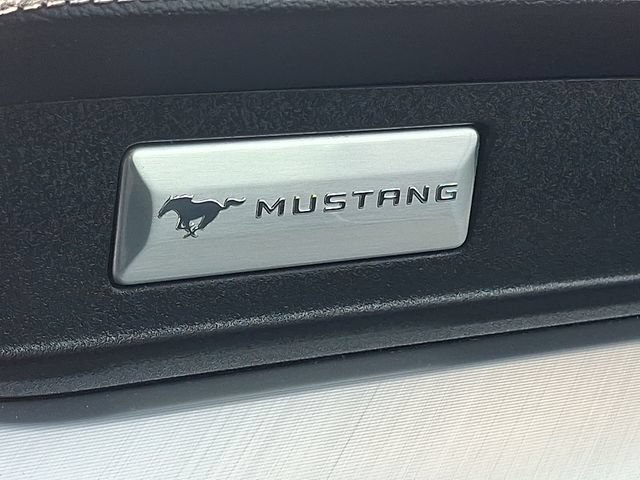 Used 2019 Ford Mustang Premium RWD image 15