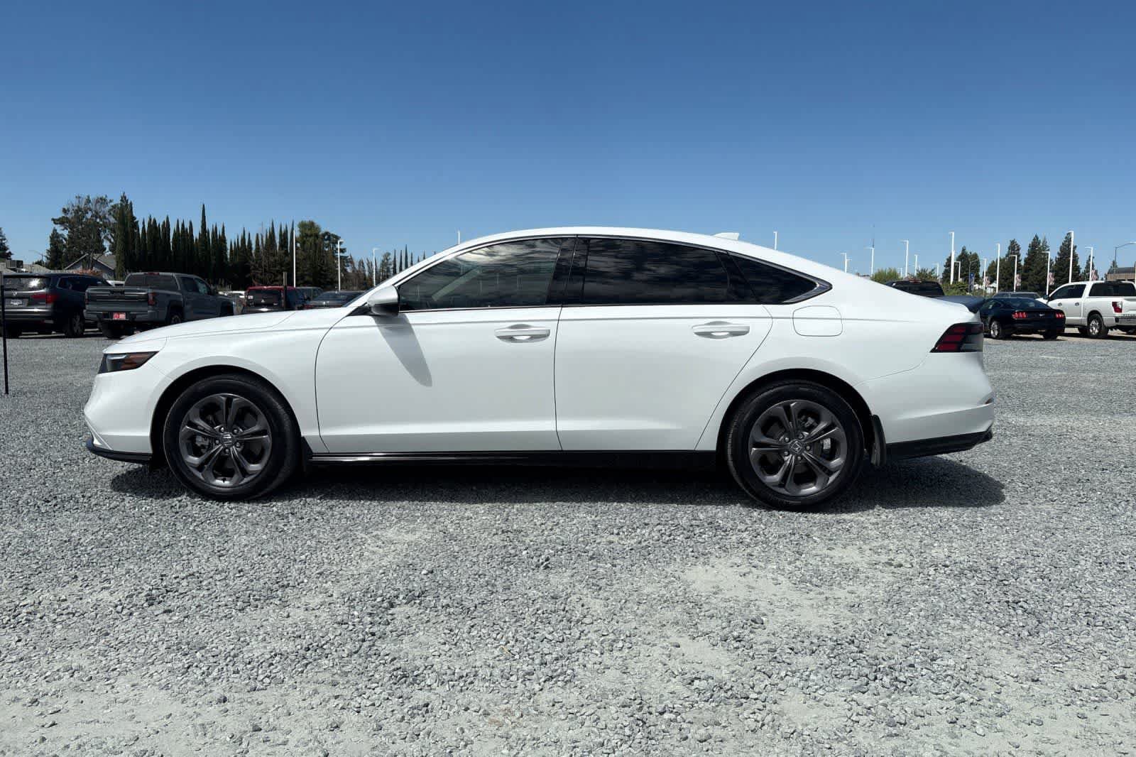 Used 2024 Honda Accord EX-L image 6