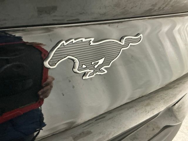 Used 2024 Ford Mustang Mach-E Select image 5