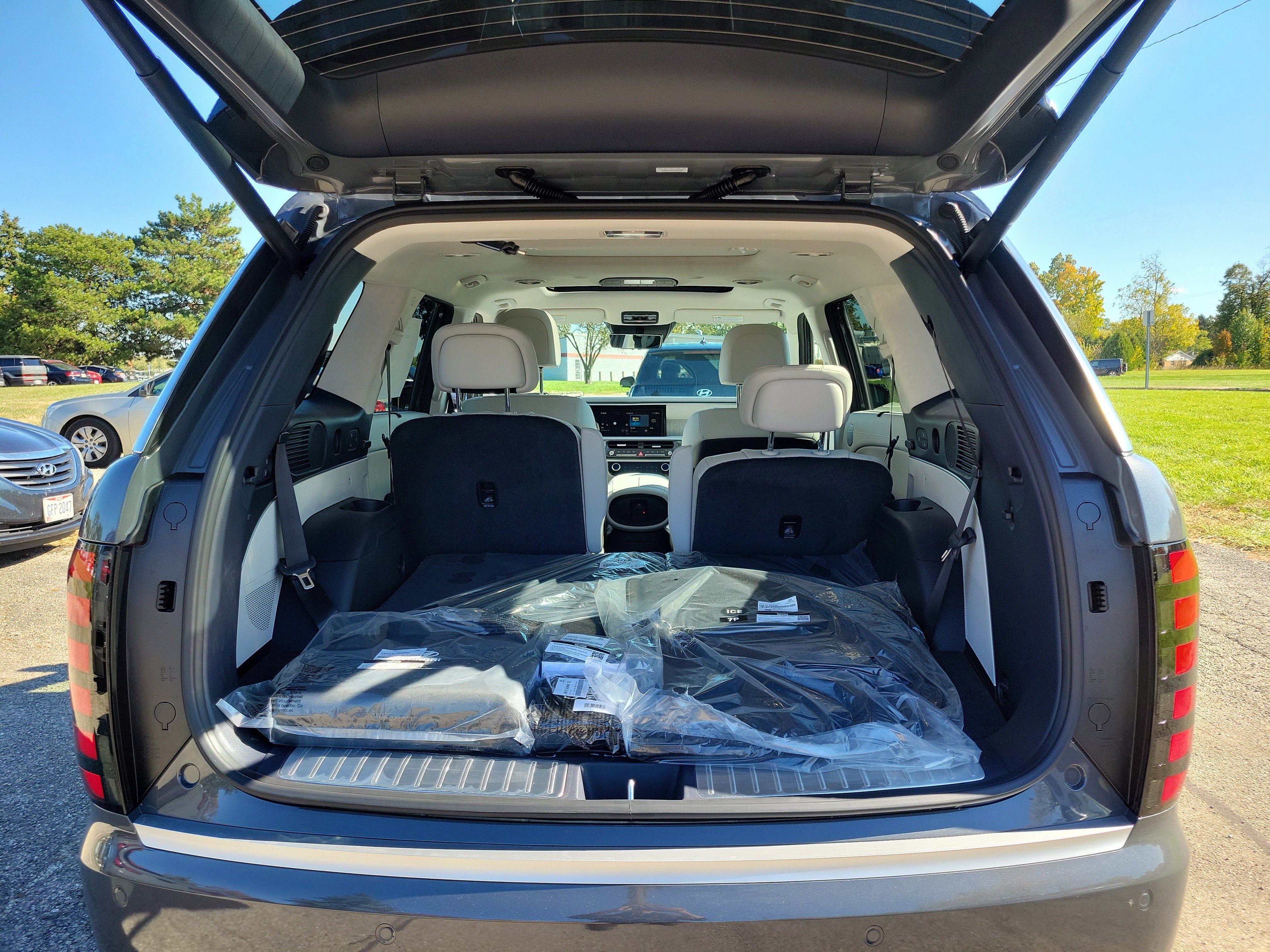 New 2026 Hyundai Palisade Calligraphy image 8