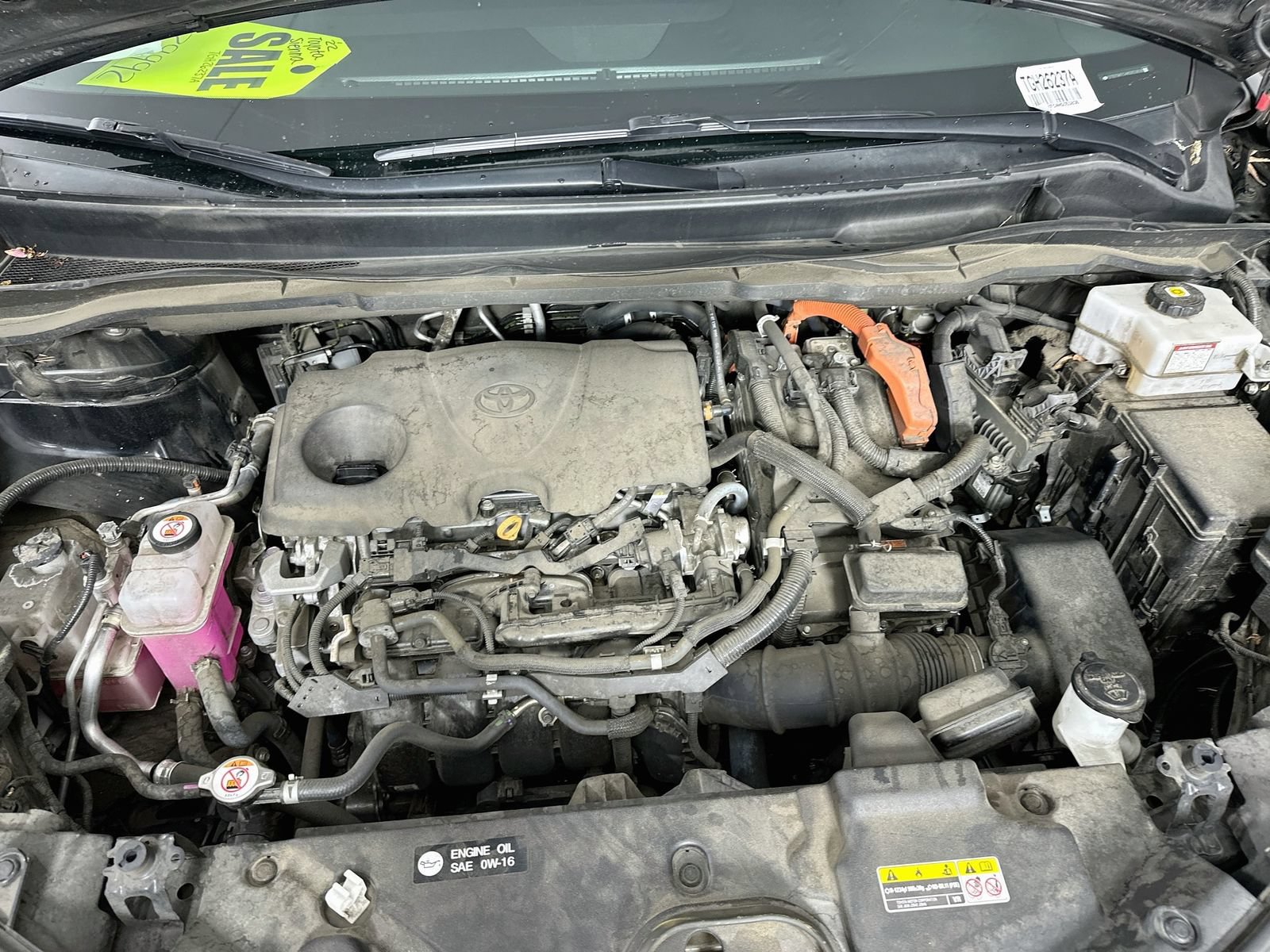 Used 2022 Toyota Sienna Limited AWD/4WD image 32