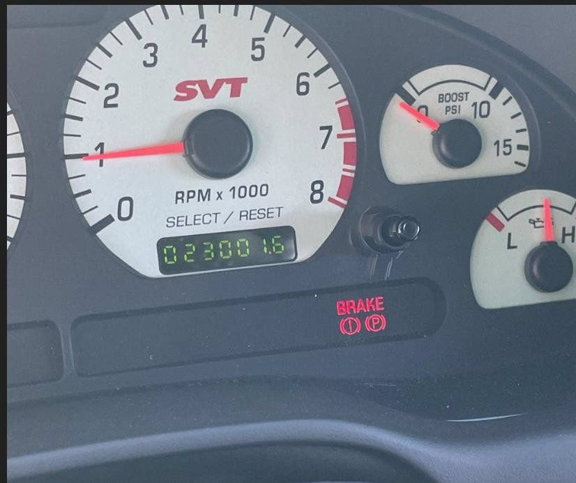 Used 2004 Ford Mustang Cobra RWD image 8