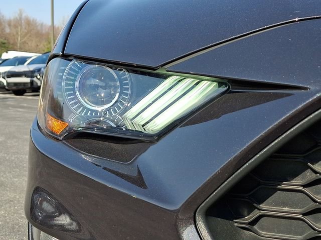 Used 2022 Ford Mustang Premium w/ Equipment Group 201A RWD image 9