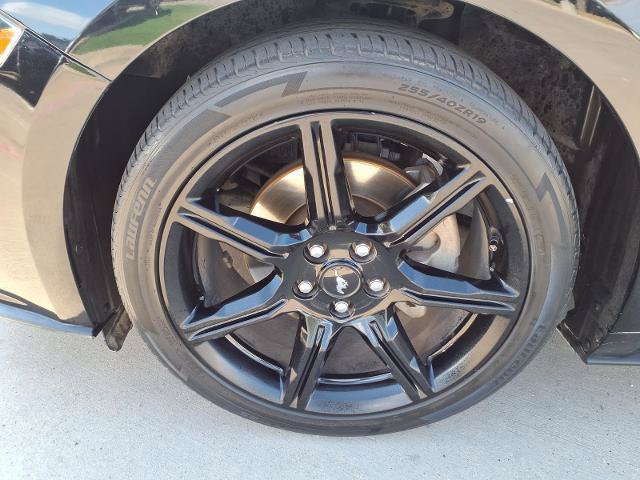 Used 2019 Ford Mustang Premium w/ Black Accent Package RWD image 21
