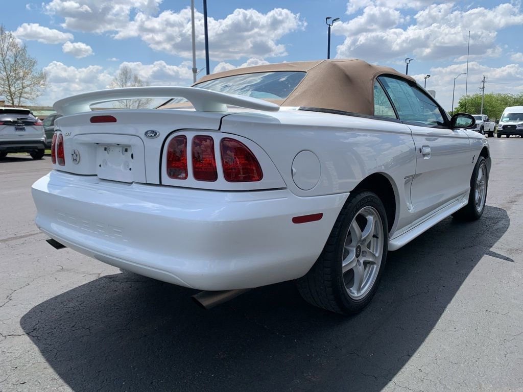 Used 1998 Ford Mustang Cobra RWD image 3