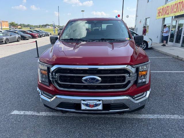 Certified 2022 Ford F150 XLT w/ Equipment Group 302A High AWD/4WD image 3