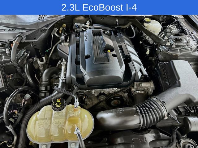 Certified 2017 Ford Mustang Premium RWD image 22