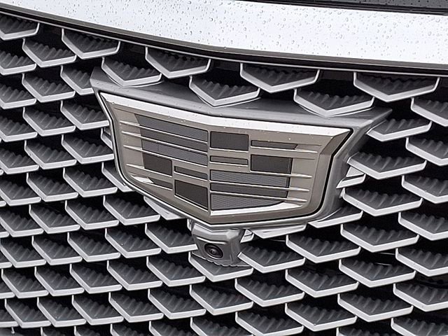 New 2026 Cadillac Escalade ESV Luxury w/ LPO, Radiant Package image 20