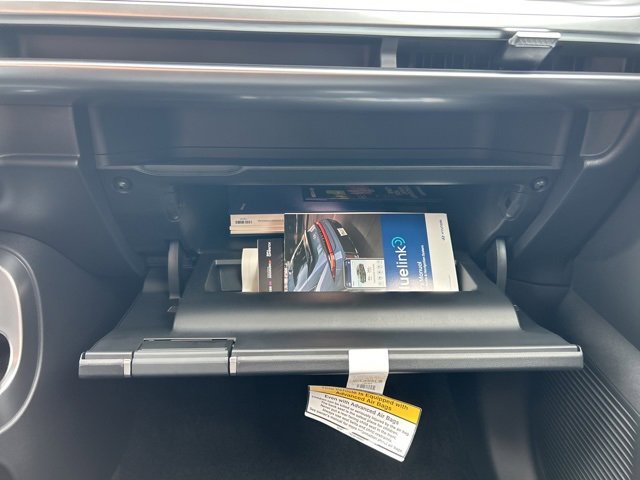 New 2026 Hyundai Ioniq 9 SEL image 27