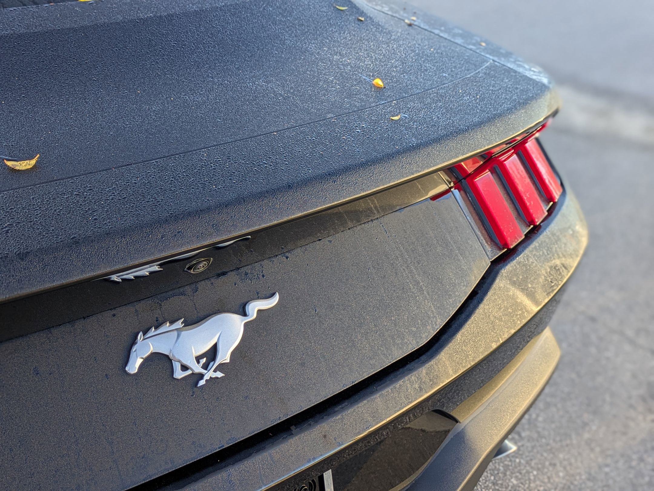 Certified 2024 Ford Mustang Coupe image 28