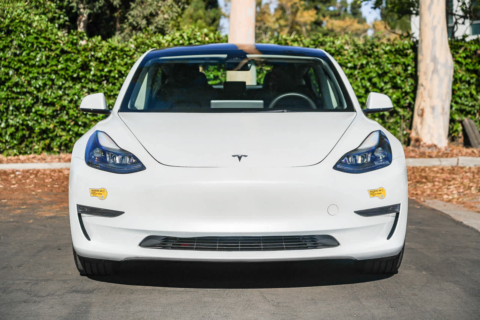 Used 2023 Tesla Model 3 Standard Range RWD image 4