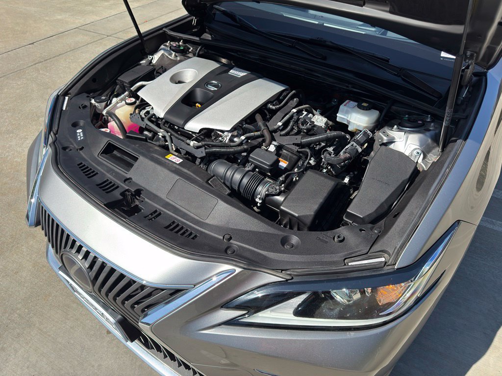 Used 2019 Lexus ES 300h w/ Accessory Package FWD image 5