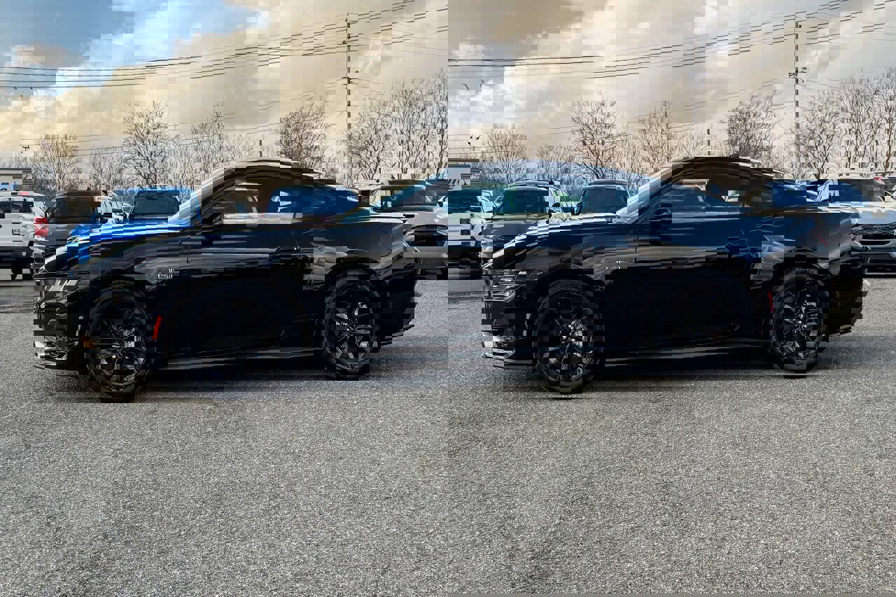 Used 2025 Ford Mustang GT image 12