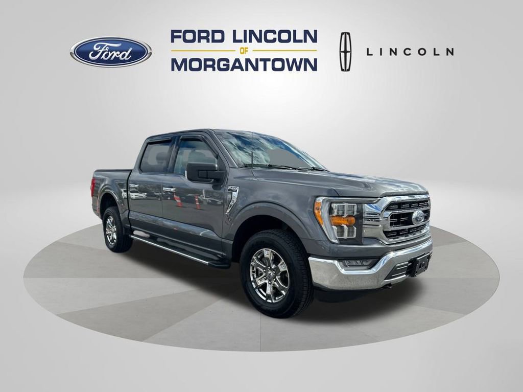 Used 2023 Ford F150 XLT w/ Equipment Group 302A High image 4