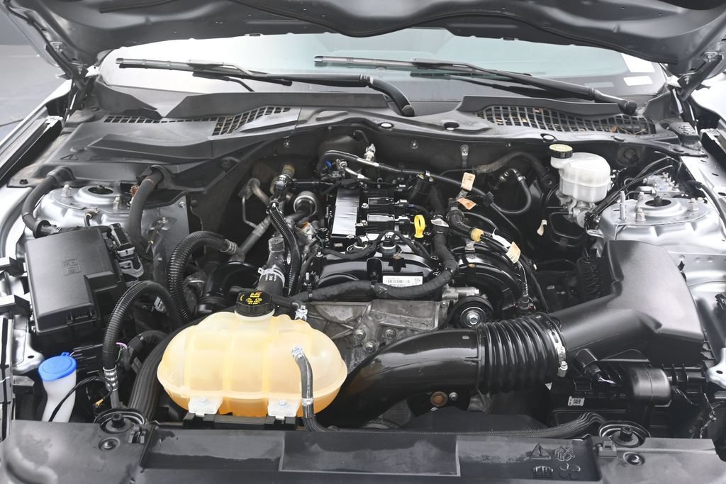 Used 2022 Ford Mustang Coupe w/ Equipment Group 101A RWD image 12