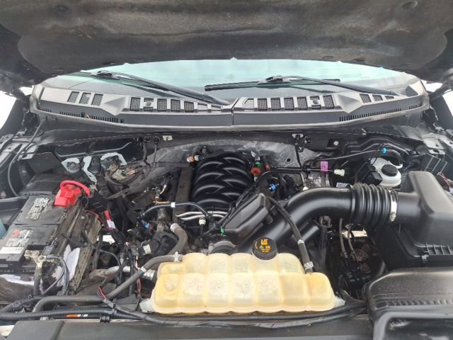 Used 2019 Ford F150 XLT w/ Equipment Group 301A Mid image 29