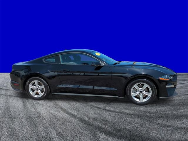 Certified 2023 Ford Mustang Coupe RWD image 3