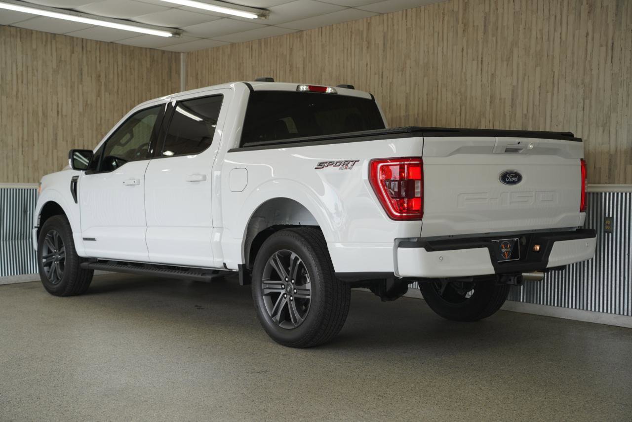 Used 2023 Ford F150 XLT w/ Equipment Group 302A High AWD/4WD image 7