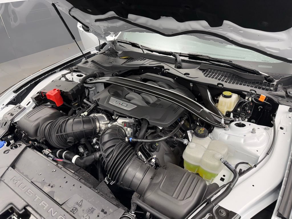 New 2025 Ford Mustang GT Premium w/ Mustang Nite Pony Package RWD image 8