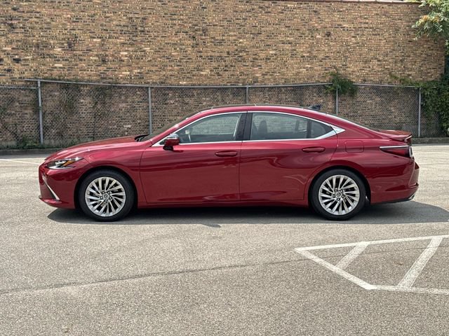 Certified 2023 Lexus ES 350 Ultra Luxury w/ Accessory Package (Z2) FWD image 8